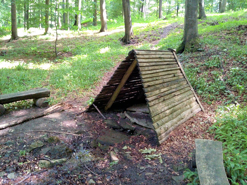 studánka U Hrabu (13381) - červen 2020