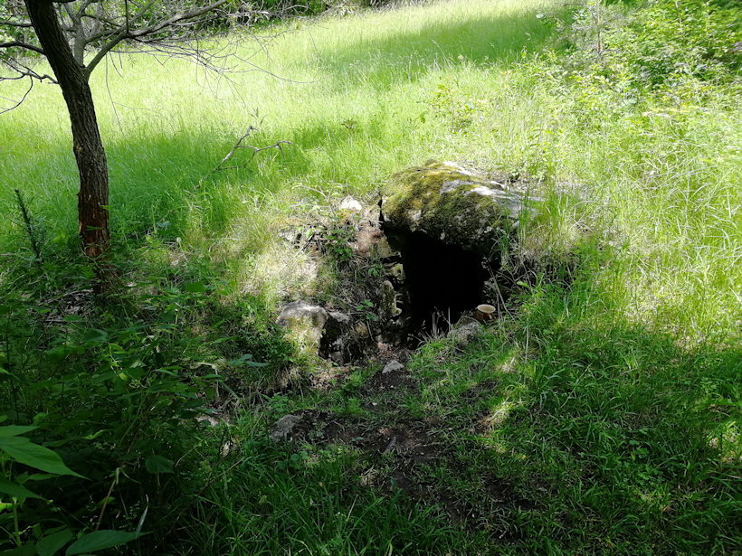 studánka bez jména (13386) - červen 2020