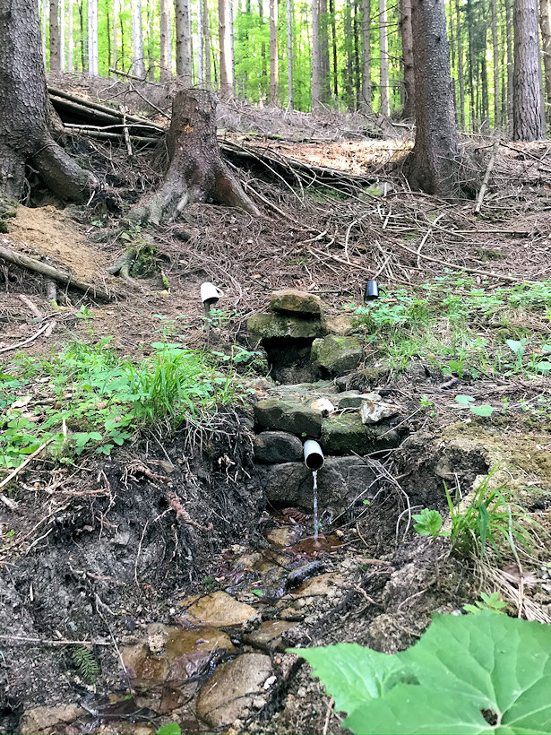 studánka Vlčí díry (13415) - květen 2020