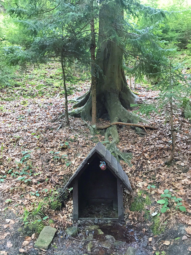 studánka Nad zimkovů lůků (13417) - květen 2020