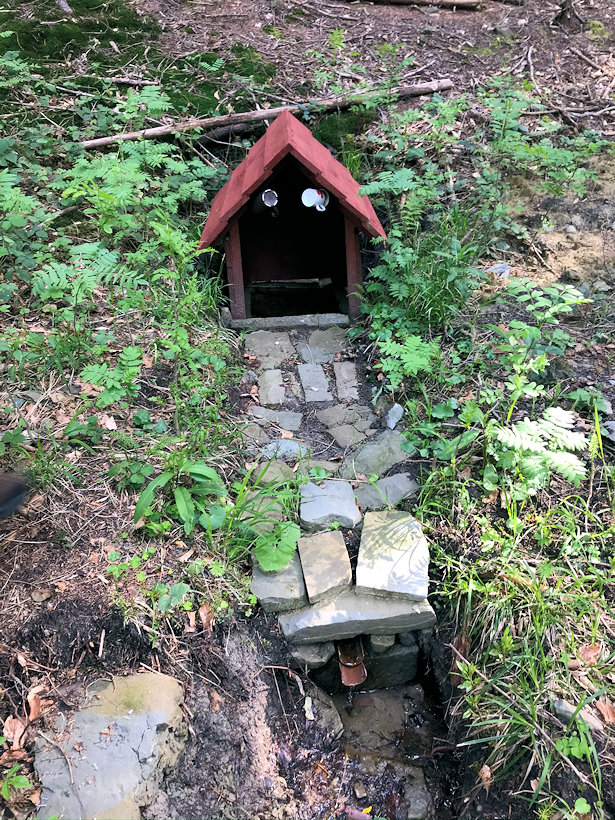 studánka Pod čubkem (13419) - květen 2020