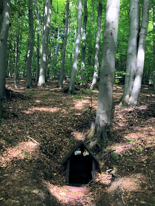 studánka V bednářovém bůčí (13420) - květen 2020