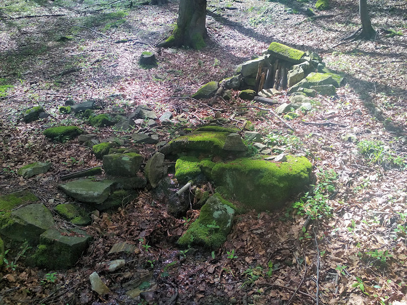 studánka U Jelení chaty (13433) - červen 2020