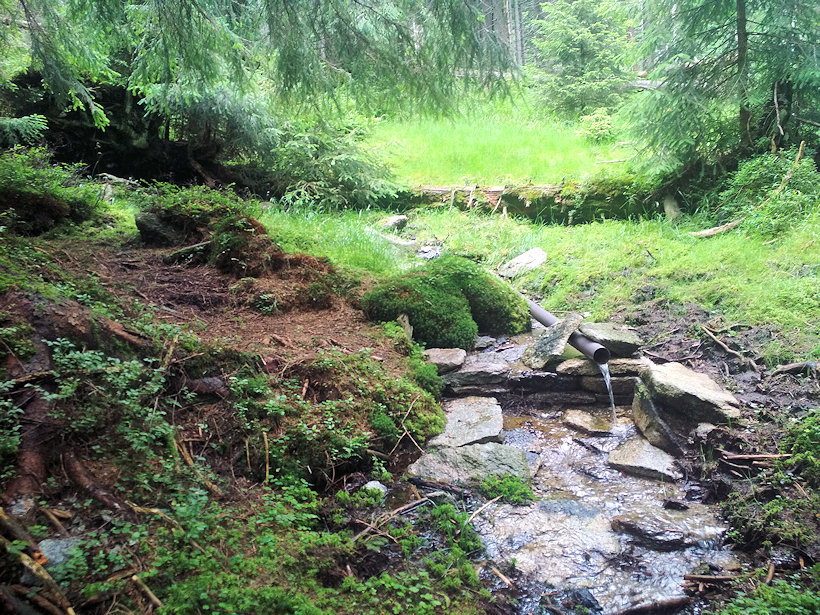 studánka U Rudolfky (13434) - červenec 2020