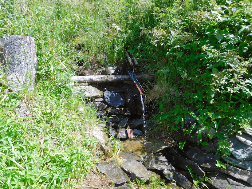 studánka Za Solnou chatou (13440) - červenec 2020