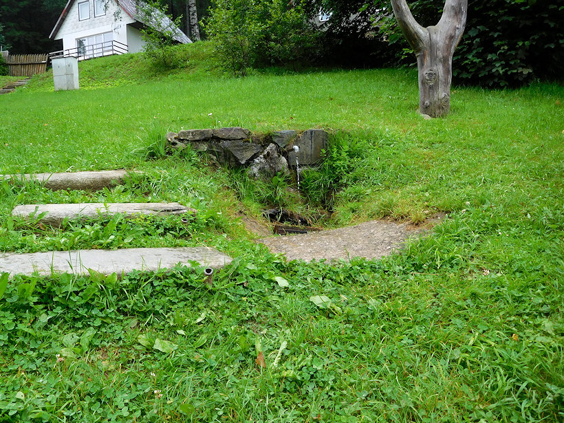 studánka Nad Grögerovým křížem (13443) - červenec 2020