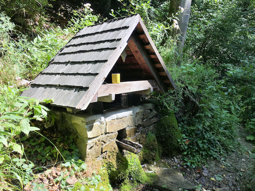 studánka Pod Babí horou (13446) - srpen 2019