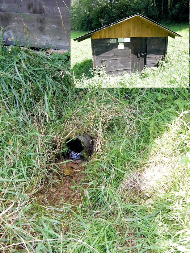 studánka V úvoze (13449) - červenec 2020