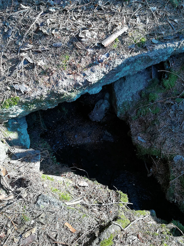 Hlubyňská studánka  (13472) - duben 2020