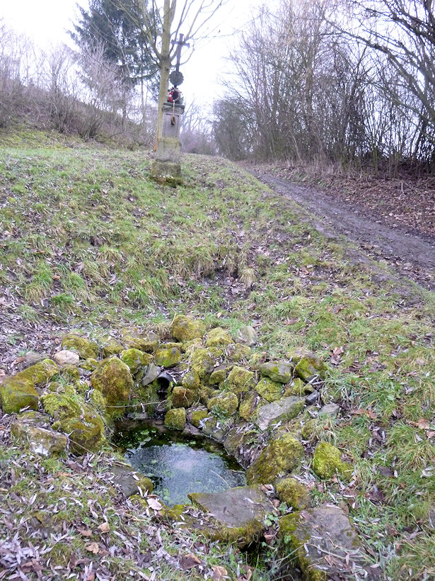 studánka Koukalova (13480) - únor 2018