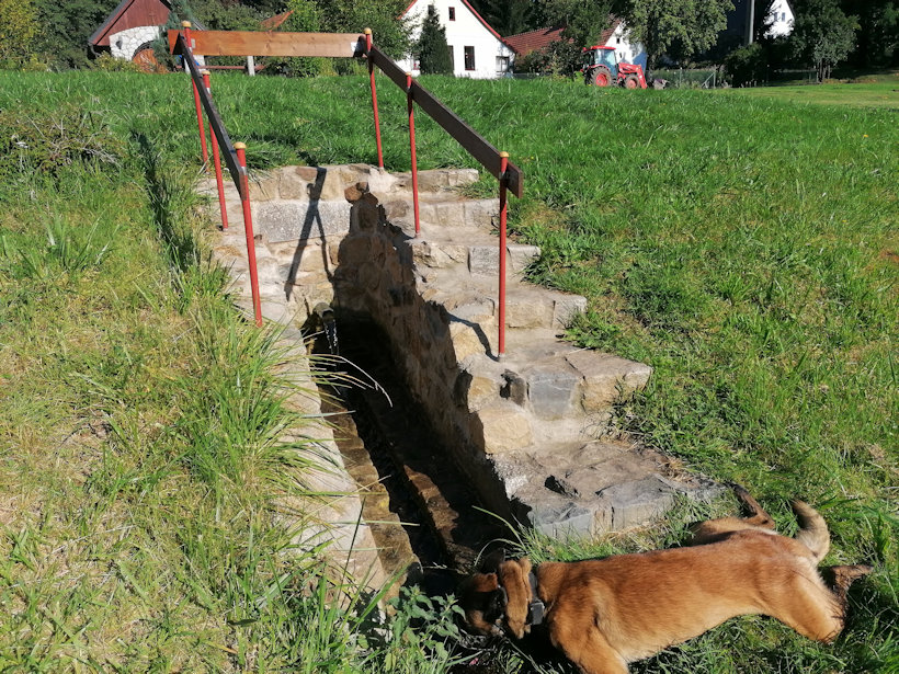 Studánka (13483) - srpen 2020