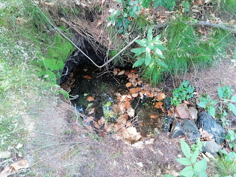 studánka Jelení (13484) - červenec 2020